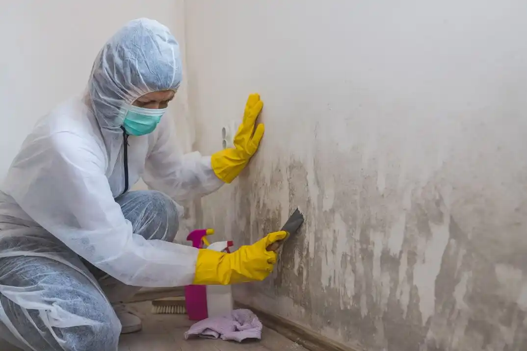 water damage restoration service Charleston Heights